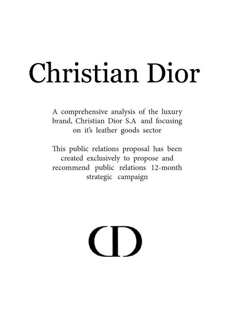 christian dior vision statements